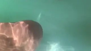 Blonde Teen Takes a Creampie Outdoors