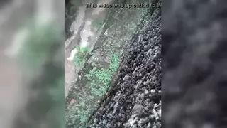Amateur Guy Edges Himself in Close-Up Solo Session