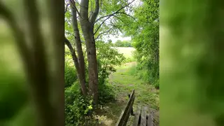 Married Latino Daddy Breeds Tight Ass Outdoors