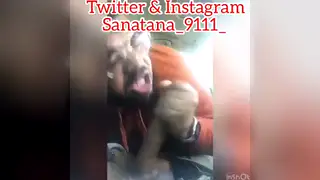 Latino Twink Delivers Sloppy Oral Until Hot Load Erupts