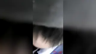 Asian Bear Gives Outdoor Blowjob to Partner