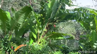 Lost Hiker Meets a Stranger for Outdoor Missionary and Pissing