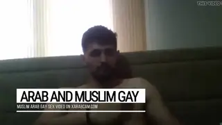 Hairy Arab Bear Enjoys a Watchful Encounter