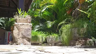 Latino Jock Strokes Muscular Body by the Pool