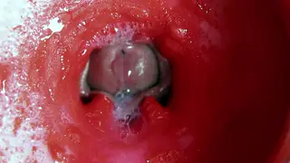 Solo Performer Uses Toys and Oil for Deep Throat and Swallow Finish