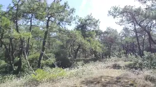 Naked Man Walks Forest Path Toward Naturist Beach