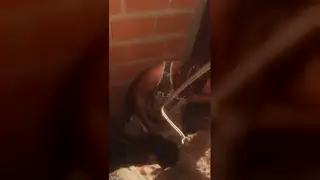 Amateur Guy Jerks Off in Short Clip