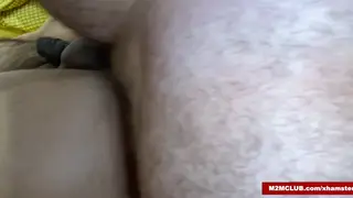 Hairy Latino Bears and Chub Engage in Raw Threesome
