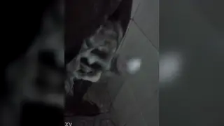 Black Man Jerks Off to a Thick Cumshot