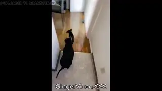 Redhead BBW Wife Performs Doggystyle on Webcam
