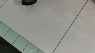 Vintage European Couple Share 69 and Rough Doggystyle