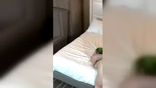 Goth BBW Compilation Shows Rough Doggystyle Action