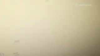 Stranger Unloads Through Gloryhole Opening