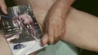 POV Handjob Finishes on a Guy's Ass
