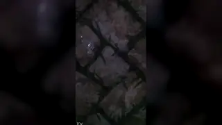 Slender Man Strokes Himself to a Quick Finish