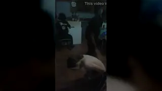 Three Men Share Blowjobs in an Interracial Orgy