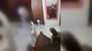 Brazilian Latino Enjoys Passionate Solo Session