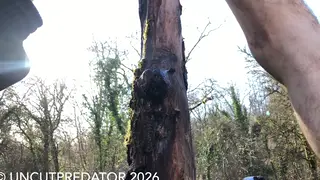 European Teen Uncut Cock Fucks Tree Trunk Then Pisses