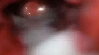 Amateur Pair Explores Anal After a Deep Blowjob