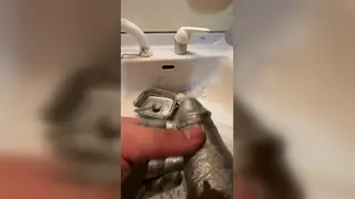 Chubby Asian Man Strokes to a Cumshot with Oil