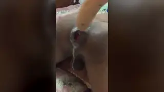 Black Amateur Unloads Thick Release in Short Clip