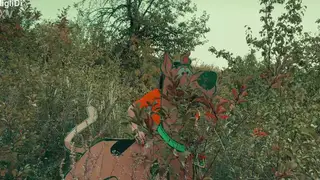 Cosplay Duo Solves Mystery Outdoors