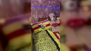 Two Women Explore Each Other's Tight Pussies in Lesbian Session