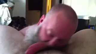 Hairy Bear Sucks His Buddy in a Leather Sling