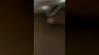 Hairy Indian Bear Takes a Twink Raw in Bareback Action