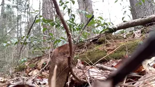 Exhibitionist Strokes to Cumshot on Mountain Trail