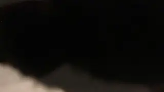 Seductive Friday Night Blowjob Under Neon Lights