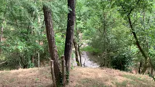 Busty Teen POV Blowjob Outdoors Ends in Mouth
