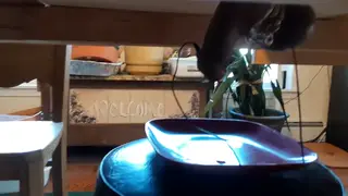 Wife Milks Husband on Table with Pumping Device