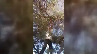 Gay Orgy Erupts Into Relentless Anal Frenzy