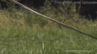 Busty Submissive Yields to Femdom Mistress