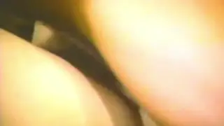 Compilation Highlights Top Performers in Steamy Montage