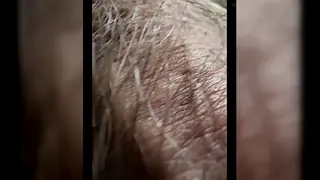 Hairy Daddy Shows Off His Heavy Package on Webcam