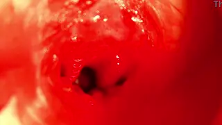 Solo Guy Fucks Sex Doll Until Creampie Finish