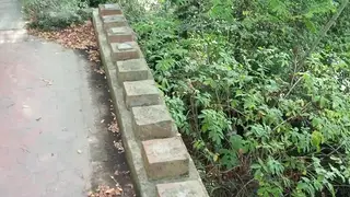 Muscular Daddy Claims Submissive Partner Bareback Outdoors