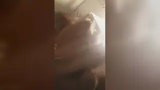 Lone Performer Works His Shaft to an Explosive Finish