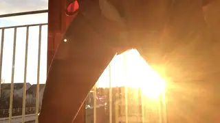 Woman Rides Toy to Dawn Orgasm Solo