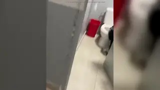 Young European Caught Pissing in Public Bathroom Stall