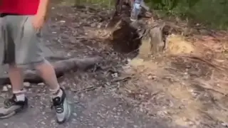 European Jocks Flash Bulges and Piss in Compilation