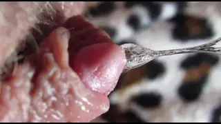 Amateur Close-Up Captures Big Clit Orgasm