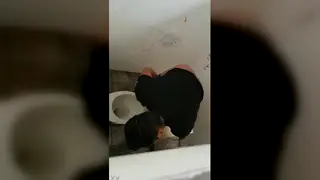 Chubby Guys Hook Up for Bathroom Sex