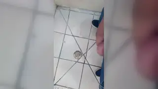 Hairy Bear Enjoys a Quick Bathroom Encounter