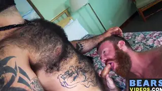 Hairy Bottom Takes a Deep Blowjob Before Getting Filled