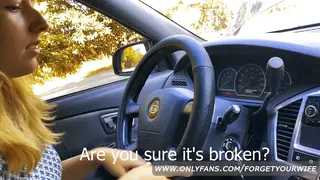 Blonde Babe Sucks and Swallows in Car POV