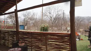 European Brunette Teases Outdoors Before Car Blowjob