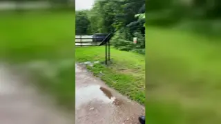 European Exhibitionist Bares All During a Rainy Park Stroll